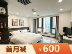 湖景套房·泊寓•长新创谷人才社区三期