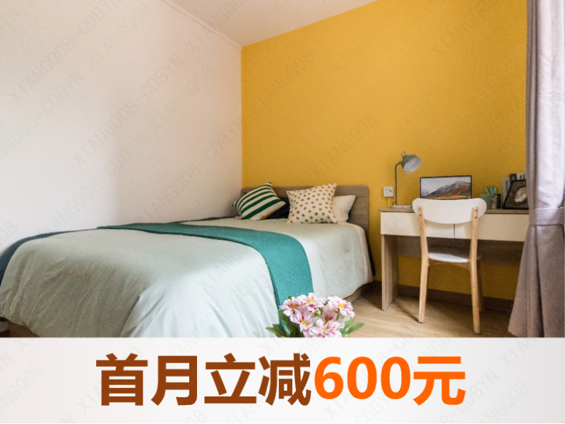 标准阳光精致单间 · 泊寓-东郊记忆店