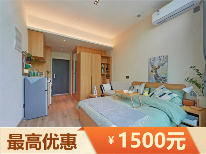 优选阳光商务一房loft