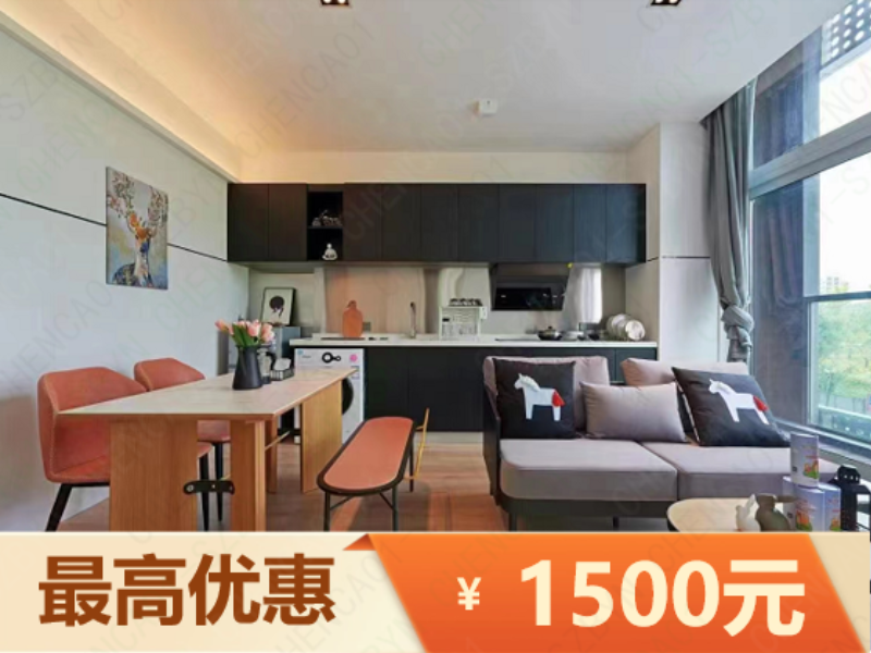 优选阳光复式两房