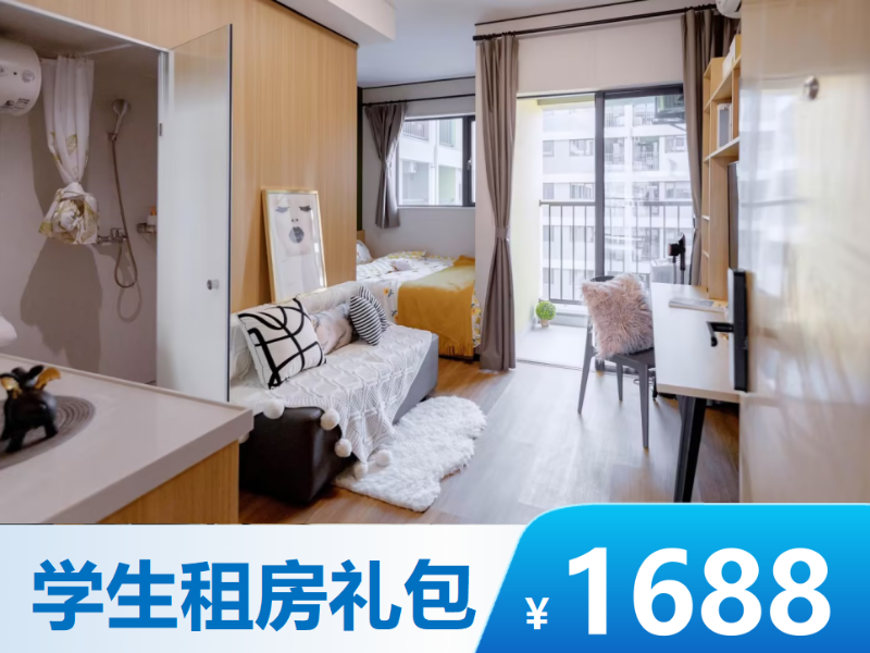 标准幽雅壁柜一房