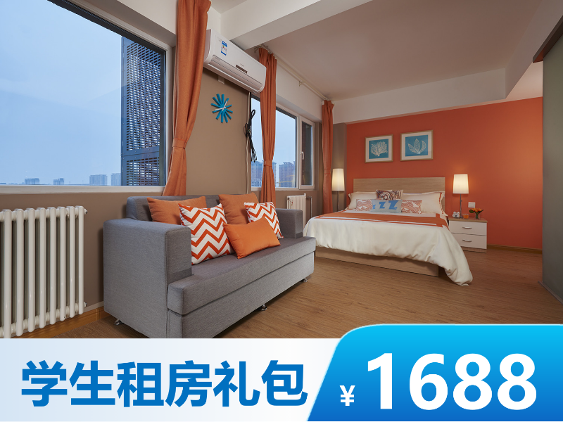 标准阳光大双窗一房