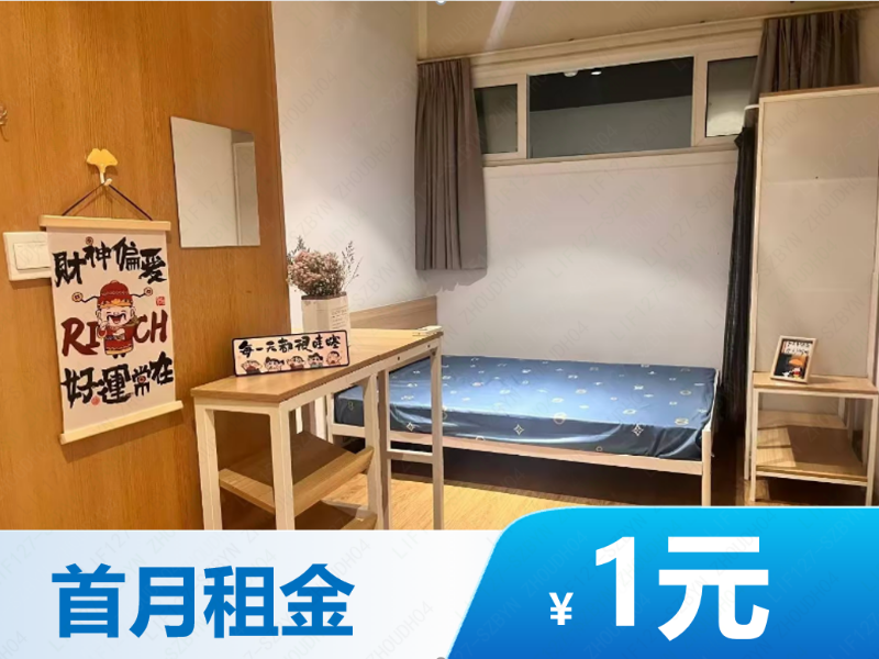 幽雅标准大单间