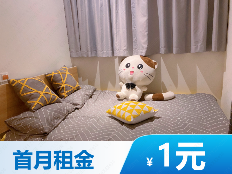 幽雅经济小单间