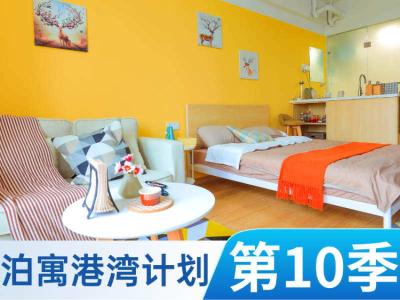 标准阳光单间 · 泊寓-未来店