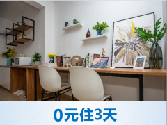 标准阳光两房·泊寓-桃园路店