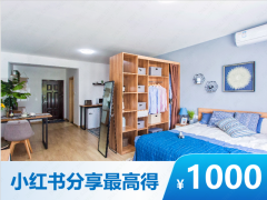 优选阳光舒适一房·泊寓-桃园路店