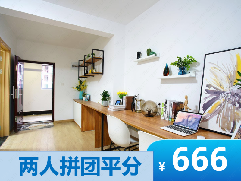 标准阳光江景两房 · 泊寓-桃园路店