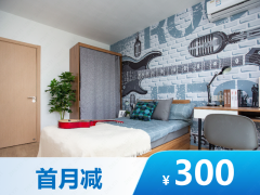 标准温馨江景一房·泊寓-桃园路店