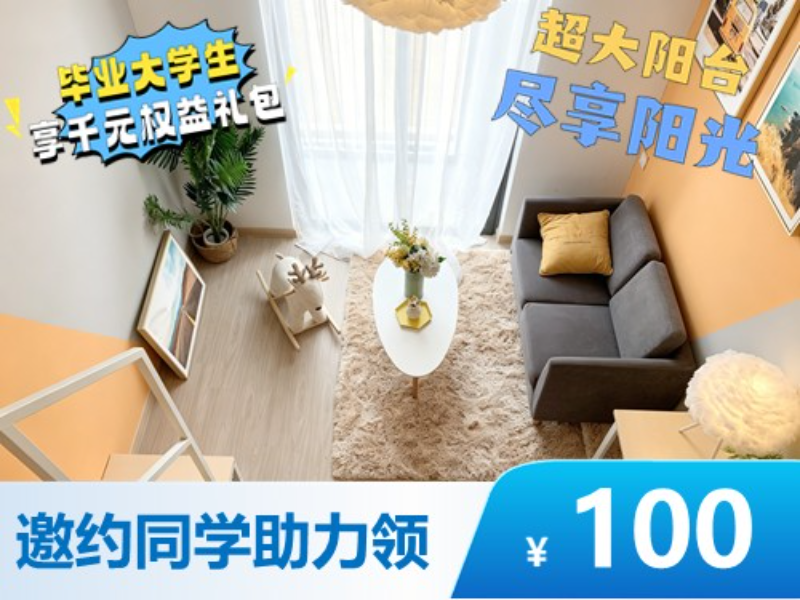 标准幽雅loft