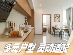 悦享一房一厅·泊寓-罗湖水贝店