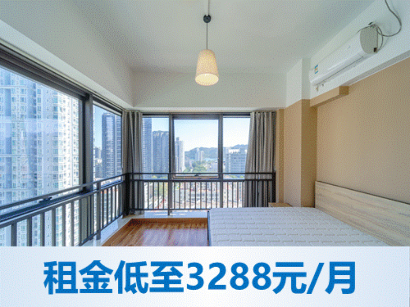 优选阳光一厅一房